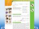 ��� ������ / Web design : ������������